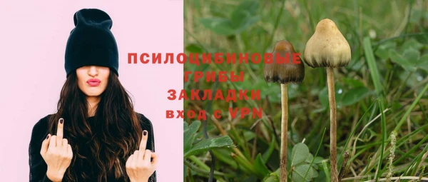 герыч Заводоуковск