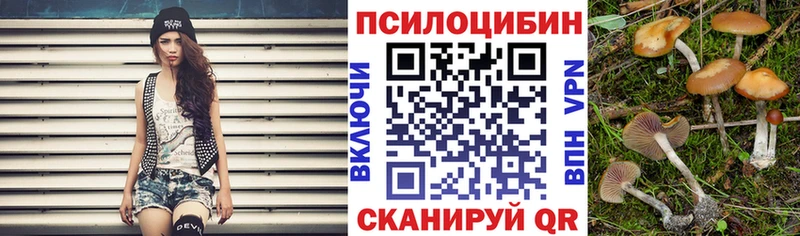 Псилоцибиновые грибы Cubensis  Славск 